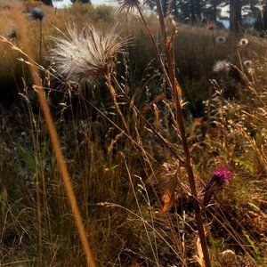 Meet your Posher, LC